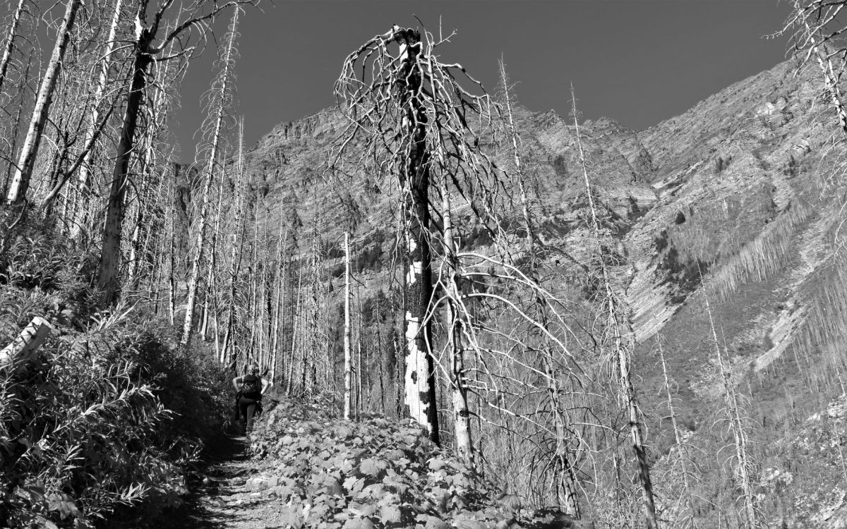 Sept 11th…..Big Bertha