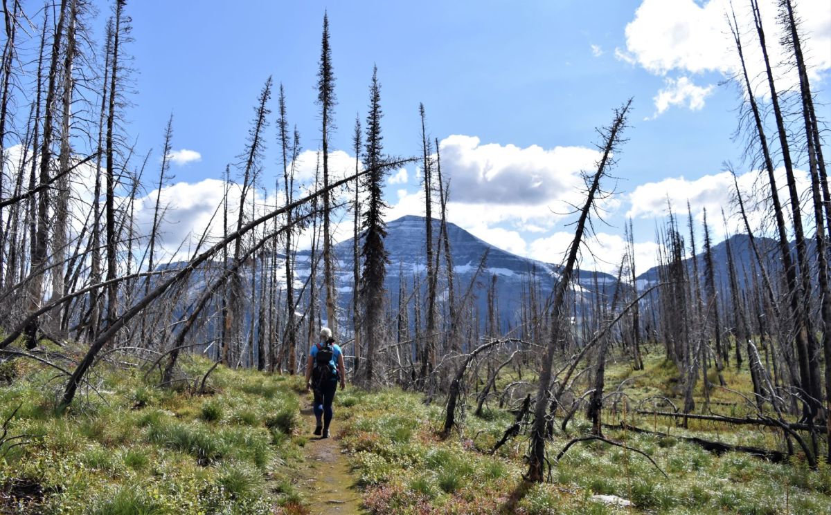 Cameron Lake to Summit&nbsp;Lake