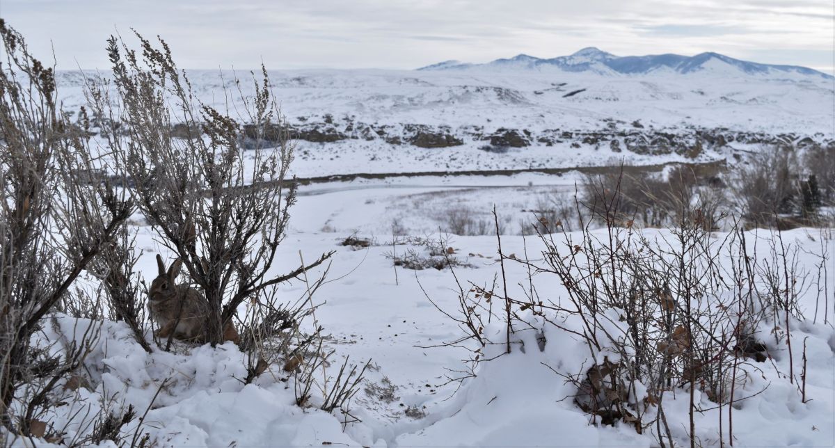 Writing-on-Snow….!!!