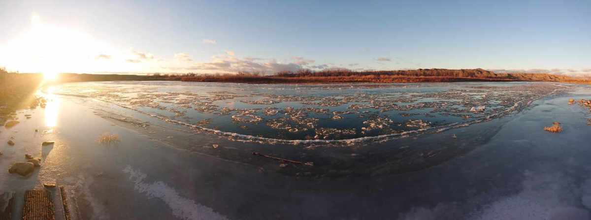 Daytrip to Dinosaur Provincial&nbsp;Park