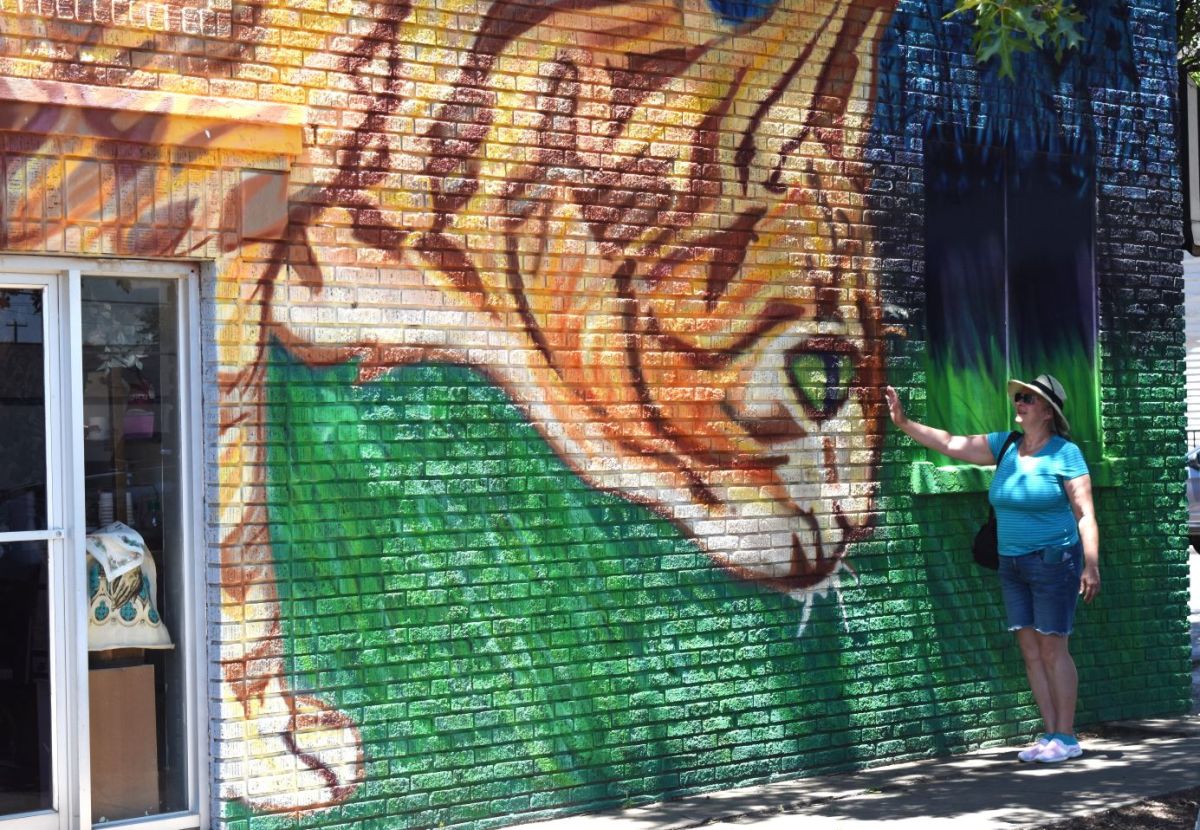 Amarillo, The Big Texan and the Cadillac Ranch. The Mother Road&nbsp;13