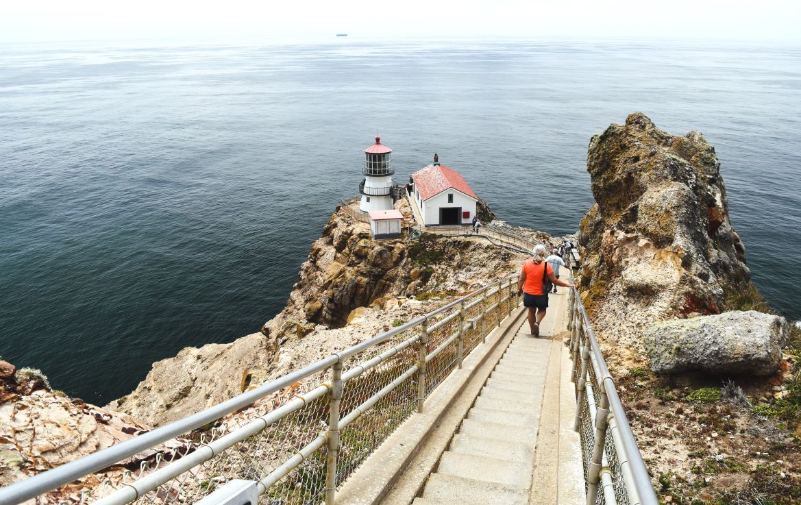 The Birds and The Golden&nbsp;Hind.