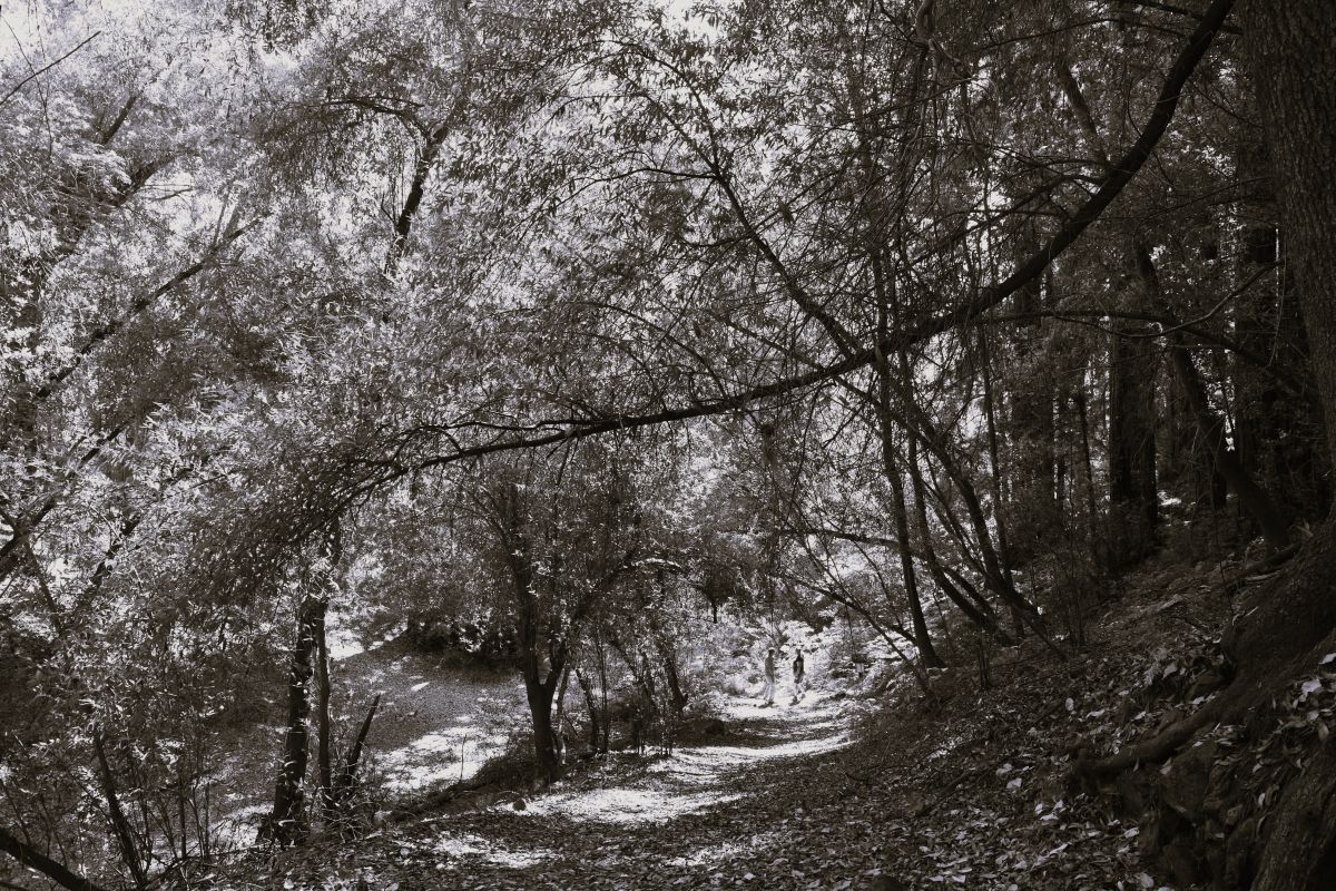 Movie star lifestyle and the&nbsp;T-bird.