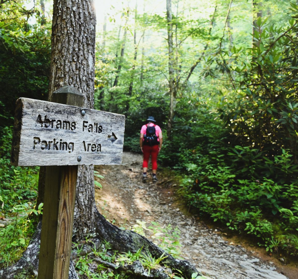 Tennessee 1.  Great Smoky Mountains….Abrams Falls&nbsp;Trail.
